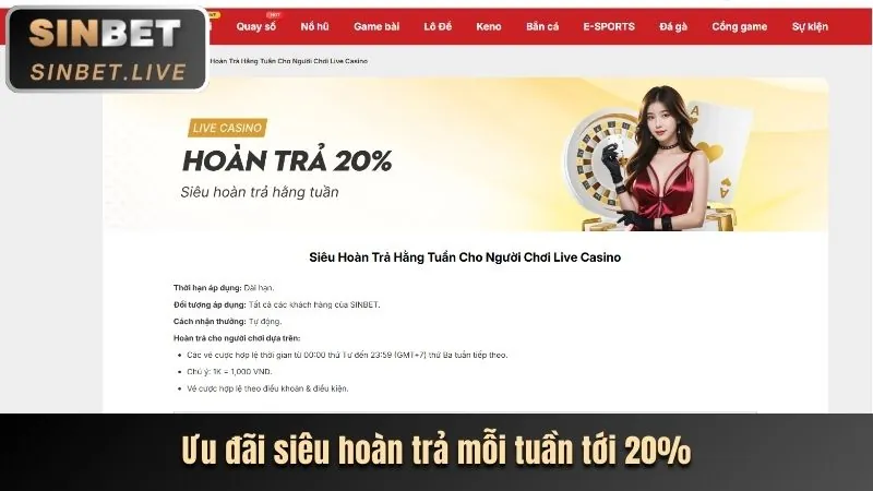Đồ họa sống động của Betking APK
